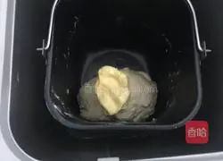 Illustration of how to make hamburger embryos 3