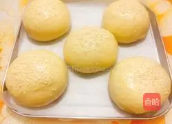 Illustration of how to make hamburger embryos 11