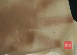 Leek Box Recipe Illustration 1