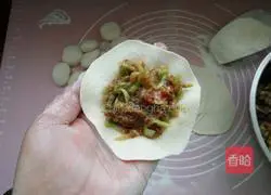 Zucchini pot stickers recipe 10