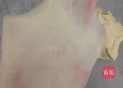 Illustration of how to make chicken burger embryos 2