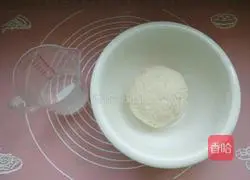 Zucchini pot stickers recipe 7