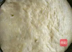 Illustration of how to make salt and pepper rolls (whole wheat) 2