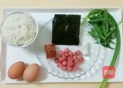 Illustration of how to make giant panda rice balls 1