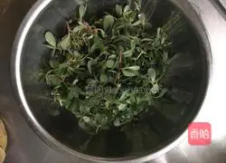 Illustration of how to make wasp green pot stickers (purslane) 1