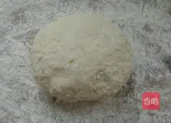 Illustration of how to make fennel meat box 2