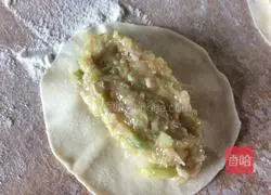 Illustration of how to make pot stickers 5