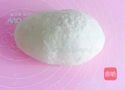 Illustration of how to make hamburger embryos 5