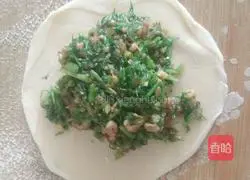 Illustration of how to make fennel meat box 12