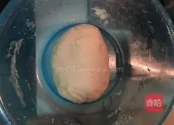 Illustration of how to make leek box 1