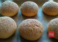 Lazy version of hamburger embryo (one-time fermentation) illustration 17