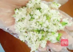 Xiaoqing New Zealand Flower Rice Ball Recipe 10