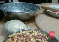 Illustration of how to make pot stickers 2