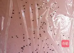 Illustration of how to make purple rice balls 6