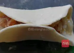 Illustration of homemade cabbage and pork pot stickers 11