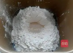 Illustration of homemade hamburger embryos 1