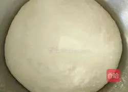 Leek Box Recipe Illustration 1