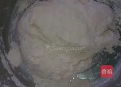 Leek Box Recipe Illustration 3