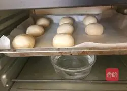 Illustration of how to make hamburger embryos 7