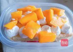 Fruit Cake Box Family Version Recipe Illustration 8