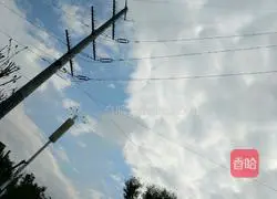 Cold noodles recipe 16