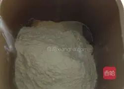 Illustration of how to make hamburger embryos 4