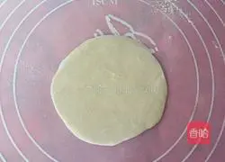 Illustration of how to make vegetarian spring rolls 4