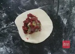 Green onions Beef box recipe 8