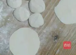 Nanjing Beef Pot Stickers Recipe Illustration 11