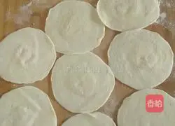 Illustration of how to make pot stickers 5