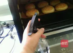 Lazy version of hamburger embryo (one-time fermentation) illustration 15