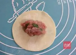 Illustration of how to make crispy pot stickers 3