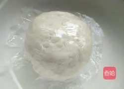 Illustration of how to make leek box 2