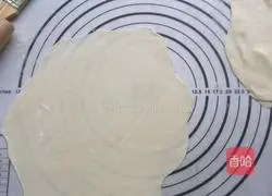 Spring roll recipe illustration 3