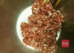 Pork and cabbage pot stickers recipe 2