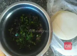 As thin as paper Illustration of how to make spring rolls 2