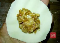 Illustration of how to make pot stickers 15