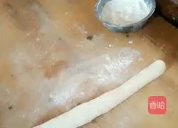 Illustration of how to make pot stickers 3