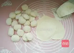 Zucchini pot stickers recipe 9