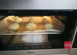 Illustration of how to make coconut hamburger embryos (Polish species) 9