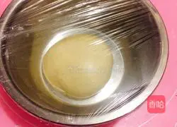 Illustration of how to make hamburger embryos 6