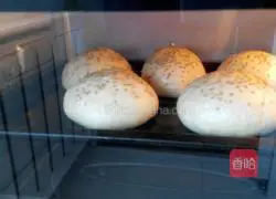 Illustration of how to make homemade hamburger embryos 9