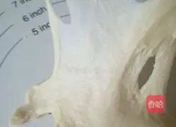 Illustration of how to make a fermented hamburger breakfast 2