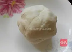 Illustration of homemade cabbage and pork pot stickers 1