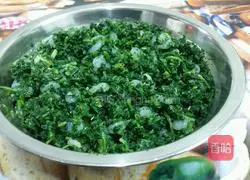 Illustration of making shepherd's purse and shrimp spring rolls (mustard flavor) 2