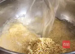 Melon Illustration of how to make millet porridge 1