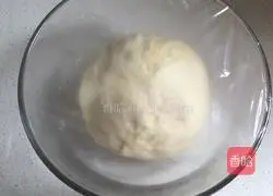 Illustration of how to make hamburger embryos 4