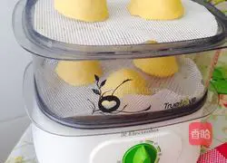 Illustration of how to make milky red dates steamed buns 11