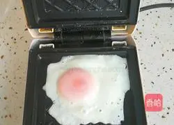 Big Mac Chinese Hamburger Recipe Illustration 3