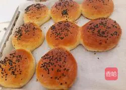 Illustration of how to make hamburger embryos 9